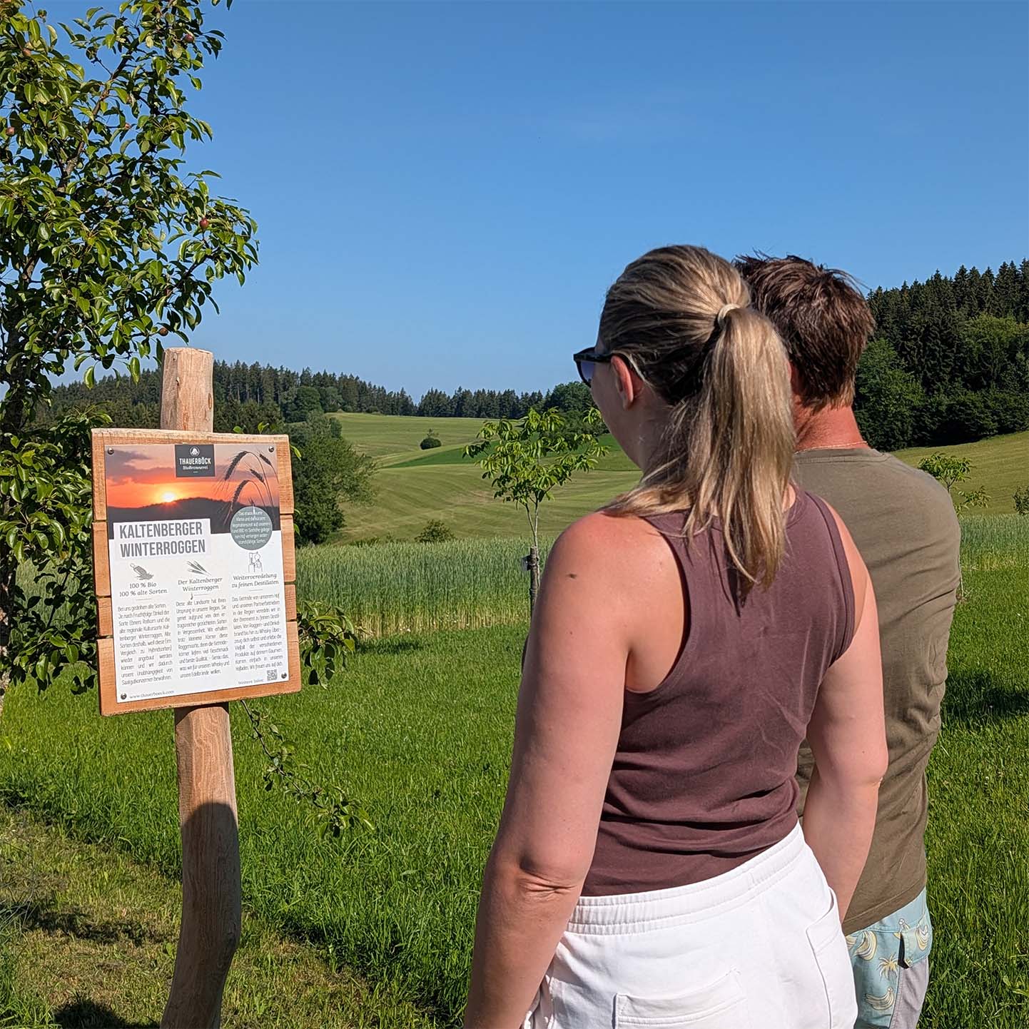 hofrundweg schautafel besucher